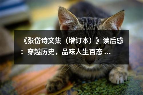 《張岱詩文集（增訂本）》讀后感：穿越歷史，品味人生百態(tài) (800字)