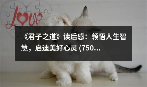 《君子之道》讀后感：領(lǐng)悟人生智慧，啟迪美好心靈 (750字)