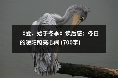 《愛，始于冬季》讀后感：冬日的暖陽照亮心間 (700字)