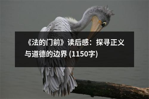 《法的門(mén)前》讀后感：探尋正義與道德的邊界 (1150字)