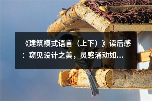 《建筑模式語言（上下）》讀后感：窺見設(shè)計之美，靈感涌動如泉 (850字)