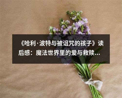 《哈利·波特與被詛咒的孩子》讀后感：魔法世界里的愛與救贖 (1100字)