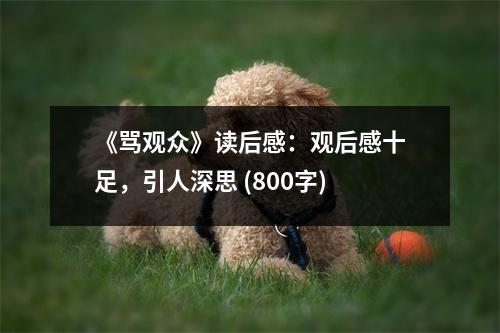 《罵觀眾》讀后感：觀后感十足，引人深思 (800字)
