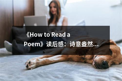 《How to Read a Poem》讀后感：詩意盎然在心間 (700字)
