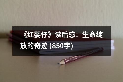 《紅嬰仔》讀后感：生命綻放的奇跡 (850字)
