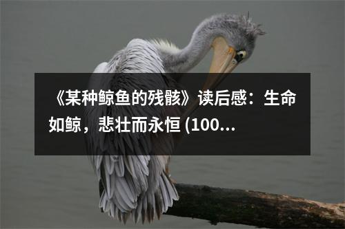 《某種鯨魚的殘骸》讀后感：生命如鯨，悲壯而永恒 (1000字)