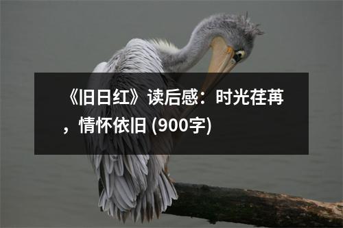 《舊日紅》讀后感：時(shí)光荏苒，情懷依舊 (900字)