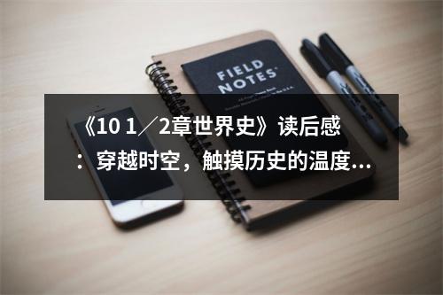《10 1／2章世界史》讀后感：穿越時(shí)空，觸摸歷史的溫度 (850字)