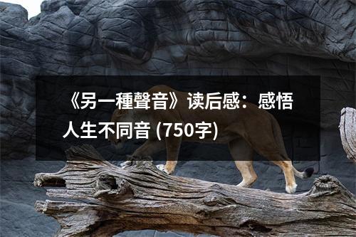 《另一種聲音》讀后感：感悟人生不同音 (750字)