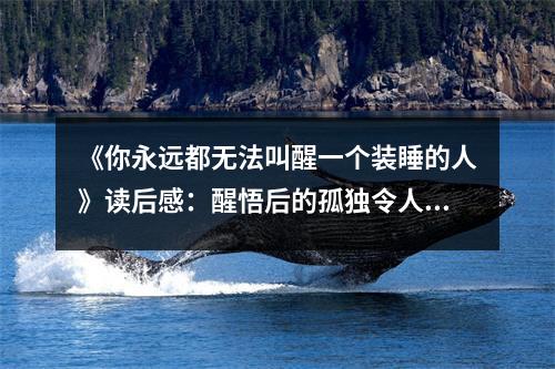 《你永遠(yuǎn)都無(wú)法叫醒一個(gè)裝睡的人》讀后感：醒悟后的孤獨(dú)令人深思 (800字)