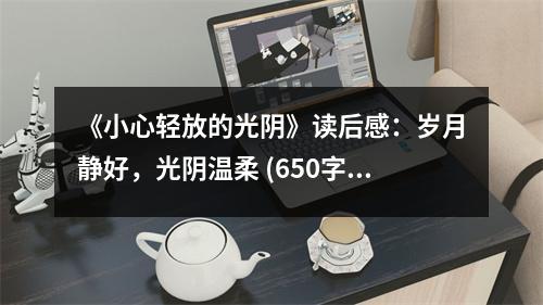 《小心輕放的光陰》讀后感：歲月靜好，光陰溫柔 (650字)