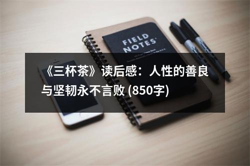 《三杯茶》讀后感：人性的善良與堅(jiān)韌永不言敗 (850字)