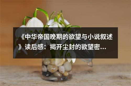 《中華帝國(guó)晚期的欲望與小說(shuō)敘述》讀后感：揭開塵封的欲望密碼 (1000字)
