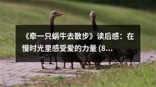 《牽一只蝸牛去散步》讀后感：在慢時(shí)光里感受愛的力量 (850字)