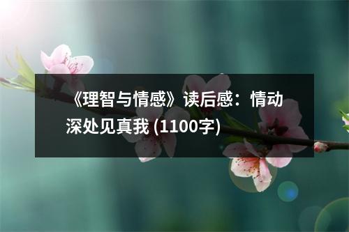 《理智與情感》讀后感：情動深處見真我 (1100字)