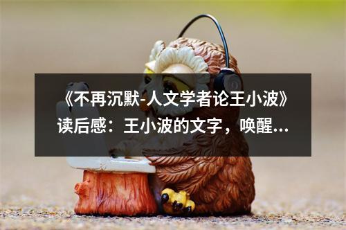 《不再沉默-人文學(xué)者論王小波》讀后感：王小波的文字，喚醒沉睡的靈魂 (850字)