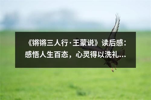 《鏘鏘三人行·王蒙說》讀后感：感悟人生百態(tài)，心靈得以洗禮 (750字)