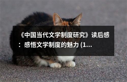《中國(guó)當(dāng)代文學(xué)制度研究》讀后感：感悟文學(xué)制度的魅力 (1300字)