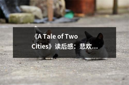 《A Tale of Two Cities》讀后感：悲歡離合，書寫命運(yùn)傳奇 (900字)