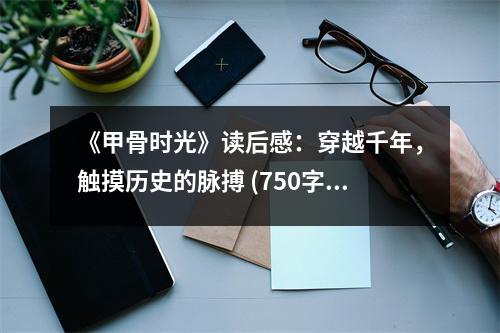 《甲骨時光》讀后感：穿越千年，觸摸歷史的脈搏 (750字)