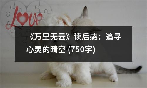 《萬里無云》讀后感：追尋心靈的晴空 (750字)