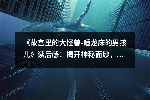 《故宮里的大怪獸-睡龍床的男孩兒》讀后感：揭開神秘面紗，探尋千年古韻 (850字)
