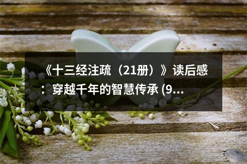 《十三經(jīng)注疏（21冊）》讀后感：穿越千年的智慧傳承 (950字)