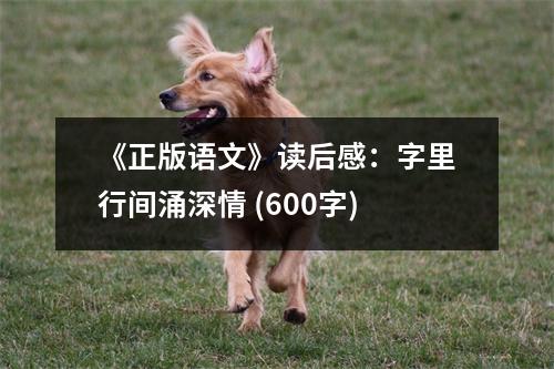 《正版語文》讀后感：字里行間涌深情 (600字)
