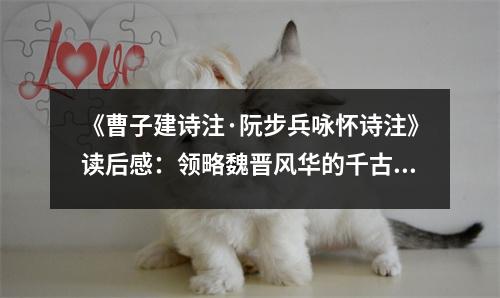 《曹子建詩注·阮步兵詠懷詩注》讀后感：領(lǐng)略魏晉風(fēng)華的千古情懷 (800字)