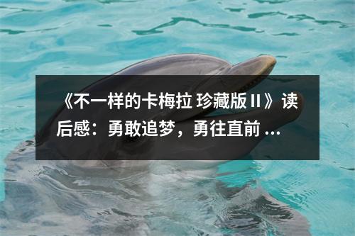 《不一樣的卡梅拉 珍藏版Ⅱ》讀后感：勇敢追夢(mèng)，勇往直前 (850字)
