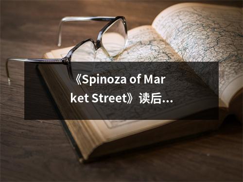 《Spinoza of Market Street》讀后感：哲學(xué)之光照亮塵世之路 (1050字)