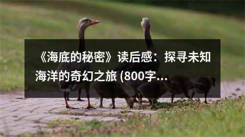 《海底的秘密》讀后感：探尋未知海洋的奇幻之旅 (800字)