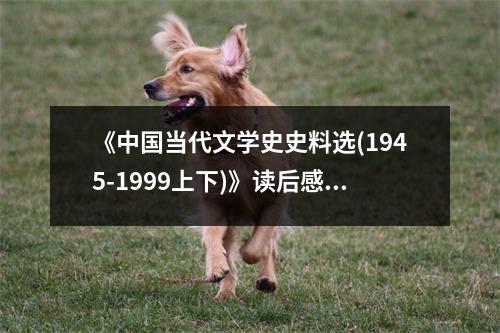 《中國(guó)當(dāng)代文學(xué)史史料選(1945-1999上下)》讀后感：歲月長(zhǎng)河中文學(xué)的璀璨星光 (900字)