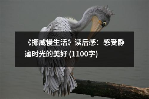 《挪威慢生活》讀后感：感受靜謐時(shí)光的美好 (1100字)
