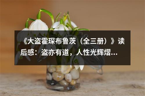 《大盜霍琛布魯茨（全三冊(cè)）》讀后感：盜亦有道，人性光輝熠熠生輝 (750字)
