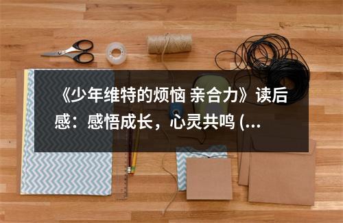 《少年維特的煩惱 親合力》讀后感：感悟成長(zhǎng)，心靈共鳴 (800字)