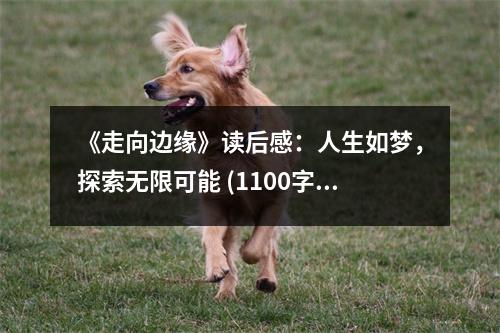 《走向邊緣》讀后感：人生如夢，探索無限可能 (1100字)