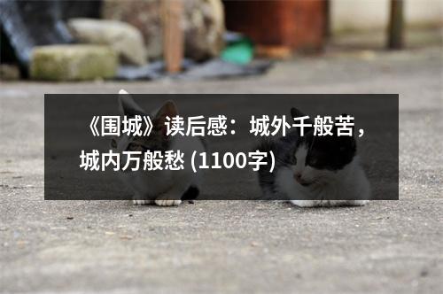 《圍城》讀后感：城外千般苦，城內(nèi)萬(wàn)般愁 (1100字)