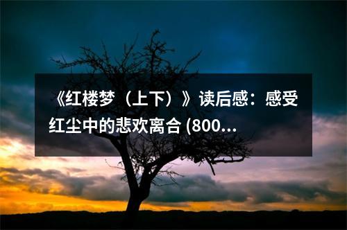 《紅樓夢(mèng)（上下）》讀后感：感受紅塵中的悲歡離合 (800字)