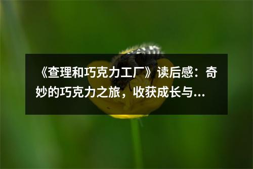 《查理和巧克力工廠》讀后感：奇妙的巧克力之旅，收獲成長(zhǎng)與快樂 (1000字)