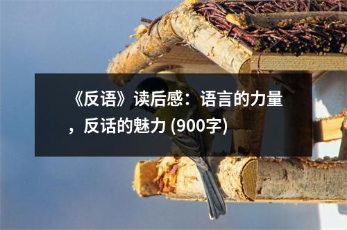 《反語(yǔ)》讀后感：語(yǔ)言的力量，反話的魅力 (900字)