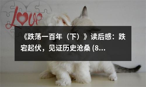 《跌蕩一百年（下）》讀后感：跌宕起伏，見證歷史滄桑 (800字)