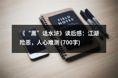 《“黑”話水滸》讀后感：江湖險惡，人心難測 (700字)