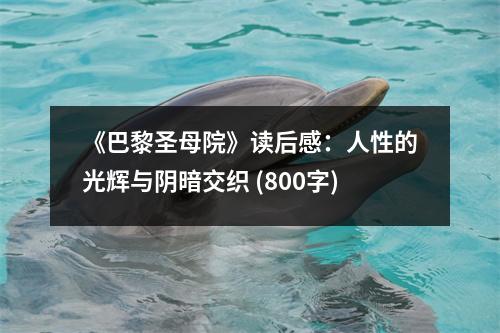 《巴黎圣母院》讀后感：人性的光輝與陰暗交織 (800字)