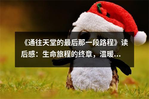 《通往天堂的最后那一段路程》讀后感：生命旅程的終章，溫暖如春 (850字)