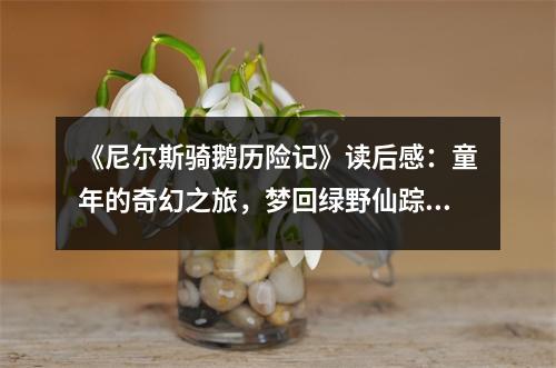 《尼爾斯騎鵝歷險記》讀后感：童年的奇幻之旅，夢回綠野仙蹤 (700字)