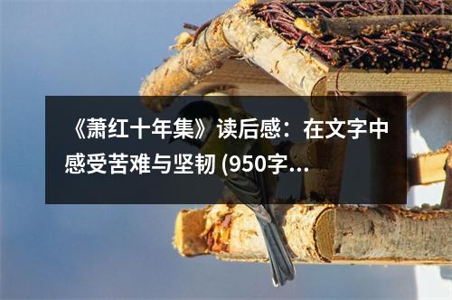 《蕭紅十年集》讀后感：在文字中感受苦難與堅韌 (950字)