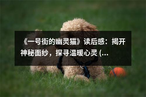《一號(hào)街的幽靈貓》讀后感：揭開(kāi)神秘面紗，探尋溫暖心靈 (750字)