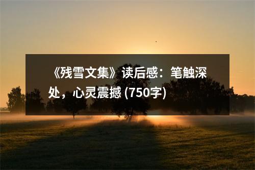 《殘雪文集》讀后感：筆觸深處，心靈震撼 (750字)