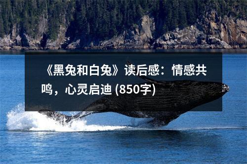 《黑兔和白兔》讀后感：情感共鳴，心靈啟迪 (850字)